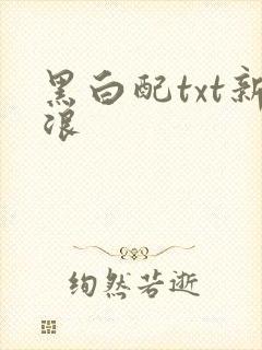 黑白配txt新浪