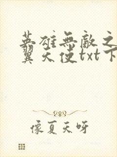 英雄无敌之十二翼天使txt下载