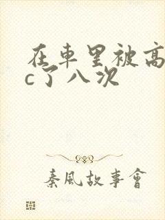 在车里被高潮被c了八次