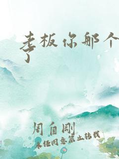 老板你那个太长了