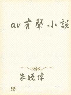 av有声小说