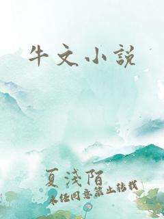 牛文小说
