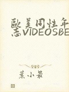 欧美同性年轻同志VIDEOSBEST