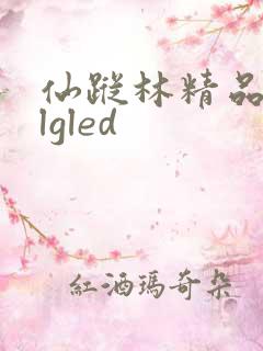 仙踪林精品zzlgled