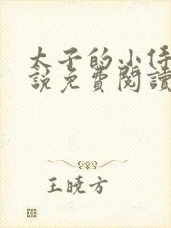 太子的小侍妾小说免费阅读全文