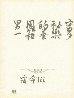 男团的秘密BY一箱养乐多小说