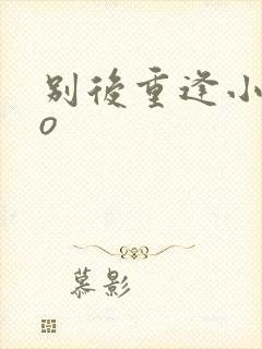 别后重逢小说po