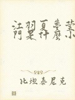 江羽夏梦莹神谕门是什么小说