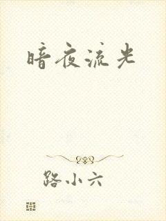 暗夜流光