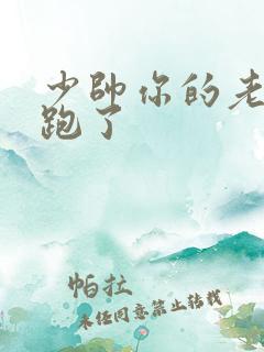 少帅你的老婆又跑了