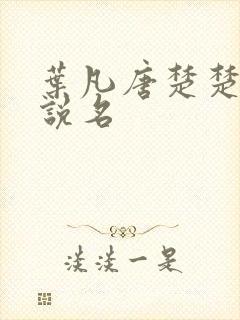 叶凡唐楚楚的小说名