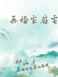 再婚家庭电视剧