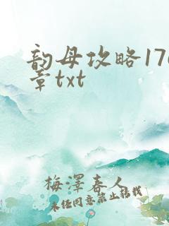 韵母攻略176章txt