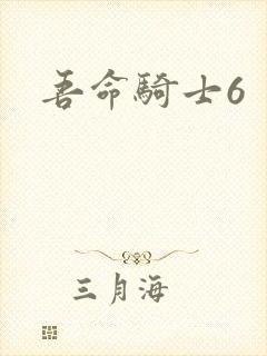 吾命骑士6