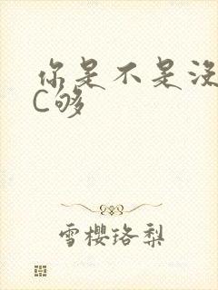 你是不是没有被C够