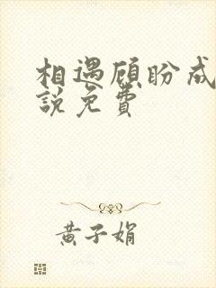 相遇顾盼成欢小说免费