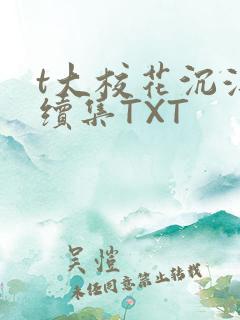 t大校花沉浮录续集TXT