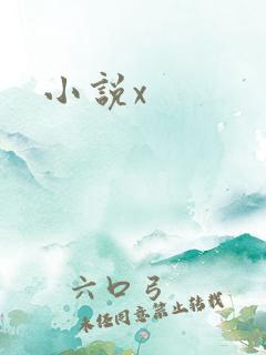 小说x