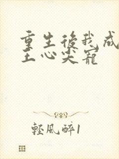 重生后我成了傻王心尖宠