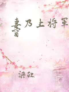 妻乃上将军无弹窗