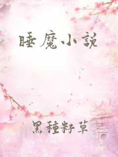 睡魔小说