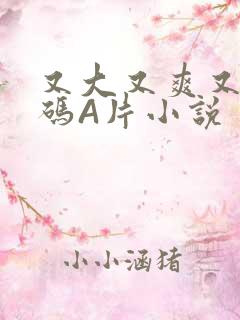 又大又爽又黄无码A片小说