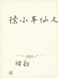 徐小平仙人指路