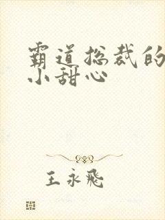 霸道总裁的宠爱小甜心