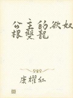 公主的欲奴h四根双龙