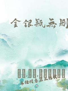 金银瓶无删除