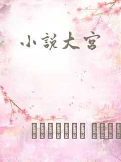 小说大宫