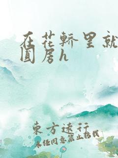 在花轿里就开始圆房h