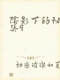 阴影下的秘密全集9