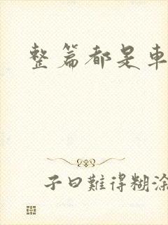 整篇都是车的肉