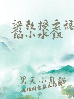 梁教授要稳住肉馅小水饺