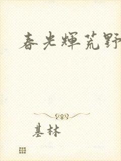 春光辉荒野