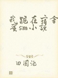 我跪在宿舍被闺蜜sm小说