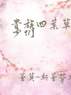 贵族四叶草的恶少们