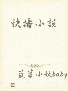 快播小说