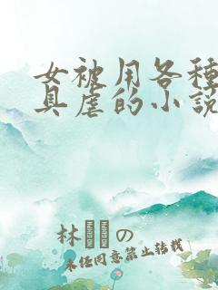 女被用各种性器具虐的小说