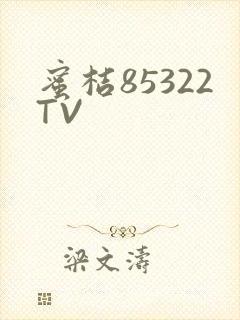 蜜桔85322TV