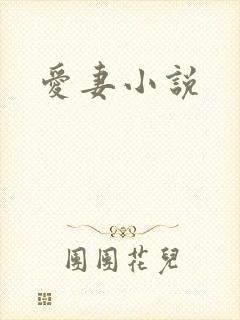 爱妻小说
