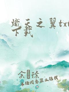 炽天之翼txt下载