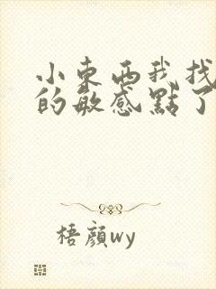 小东西我找到你的敏感点了