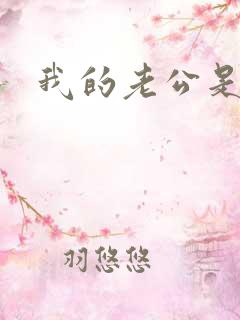 我的老公是魔王