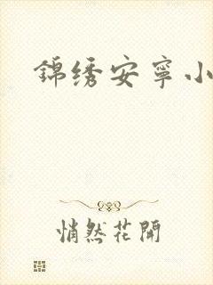 锦绣安宁小说