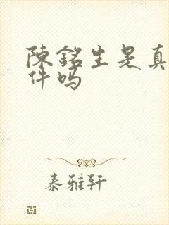 陈铭生是真实事件吗