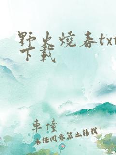 野火烧春txt下载