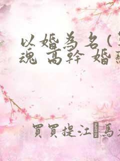 以婚为名 (军魂 高干 婚恋)