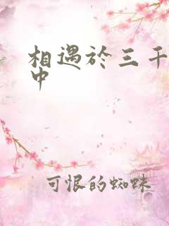 相遇于三千肉文中